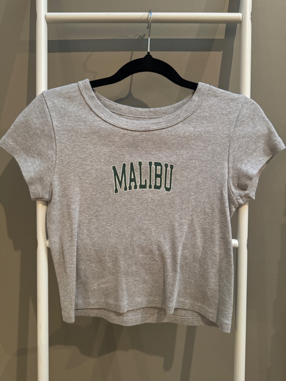 Women’s John Galt Malibu Graphic Tee - Gray with Green Print